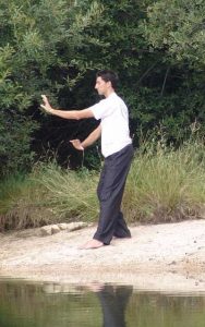 Qigong Acupuntura y Osteopatía Madrid