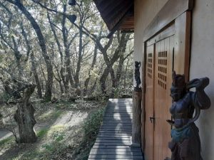 Templo zen Acupuntura y Osteopatía Madrid