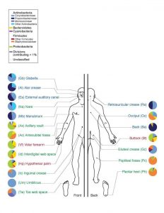 Acupuntura y Osteopatía Madrid