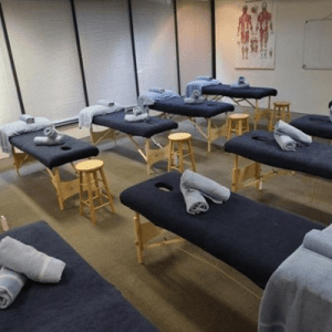 Profesionales Medicina Tradicional China