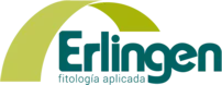 Erlingen
